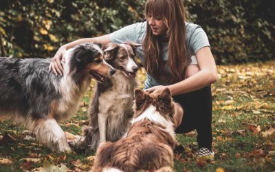 Top Pet Grooming Hacks Every Owner Should Know